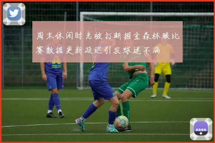 周末休闲时光被打断掘金森林狼比赛数据更新延迟引发球迷不满