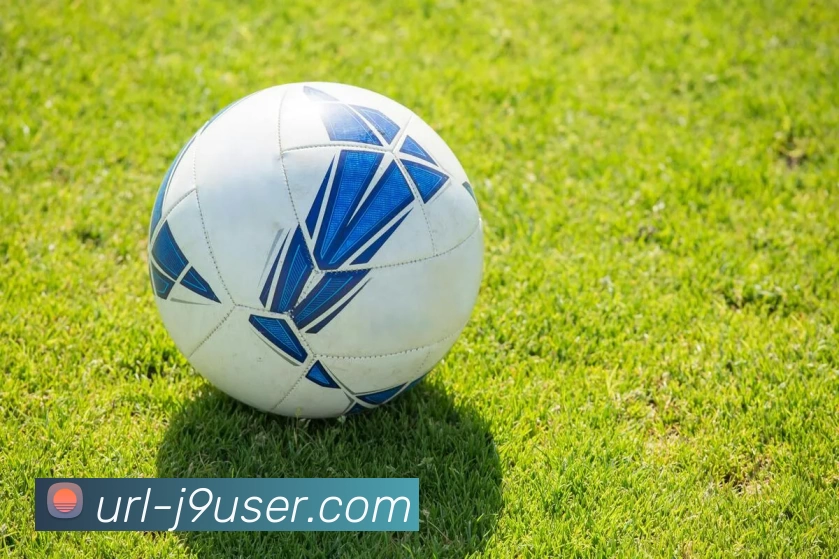 九游娱乐平台生态图